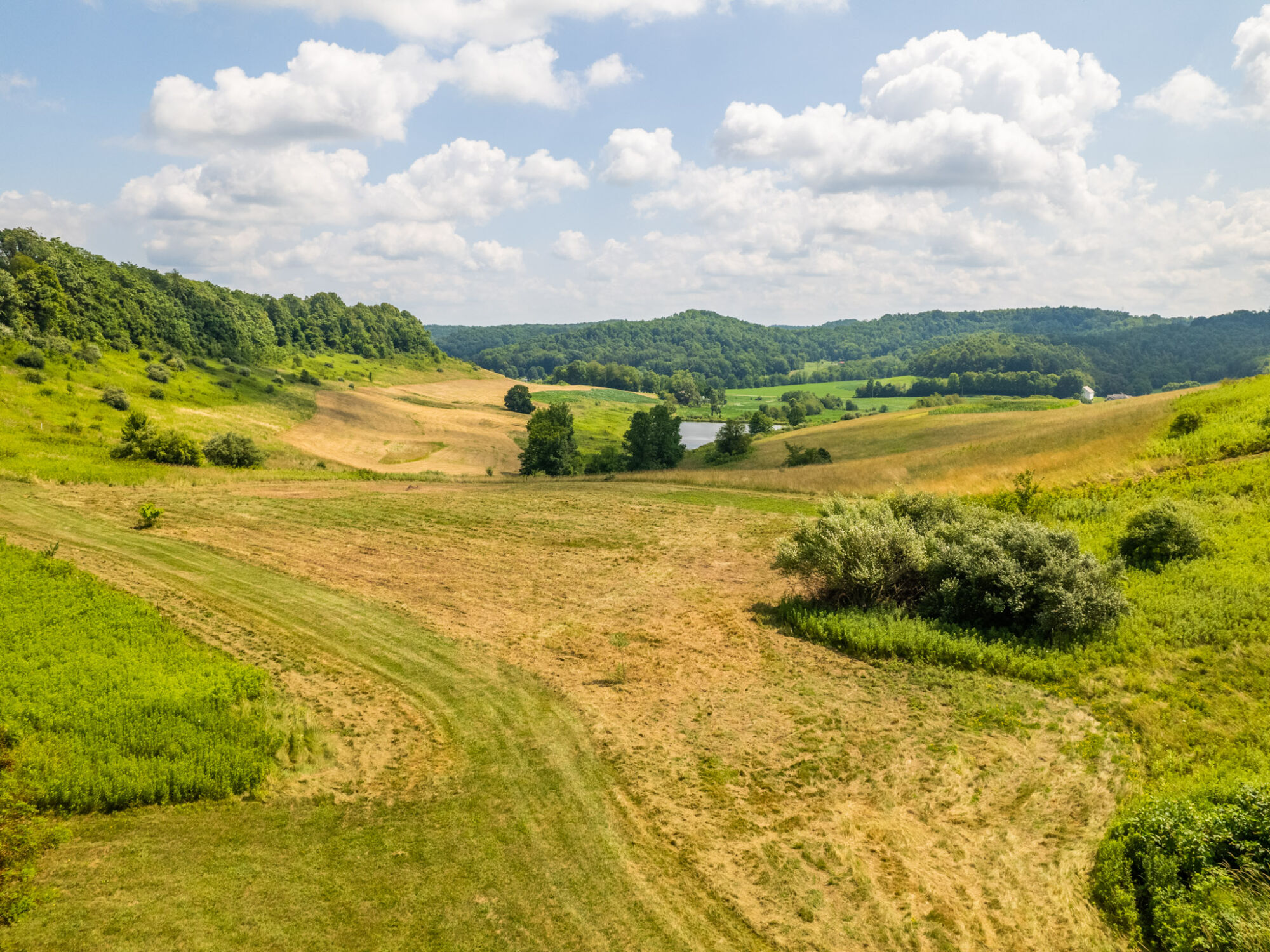 41+ Acres in a Retreatlike Setting featured photo 12