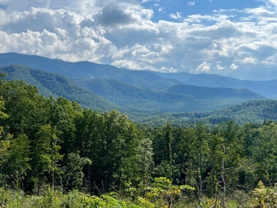 30 Acres To Be Divided