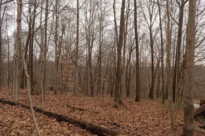 Beautiful Wooded 10+/- Acres - Potential Home Site or Hunting/Rec. Land - Online Real Estate Auction Dubois Co., IN featured photo 10