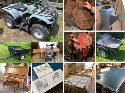 Rural Acreage Moving Auction in Salmon 23-0709.wol featured photo