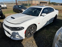 SEIZED & CONFISCATED HOUSTON COUNTY SHERIFF DEPT & PERRY P.D. AUCTION featured photo 4