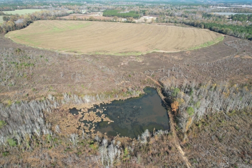 198± Acres | Montgomery County, GA featured photo