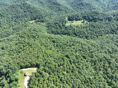 63+ Acres - Prime Recreation Property at Absolute Online Auction featured photo