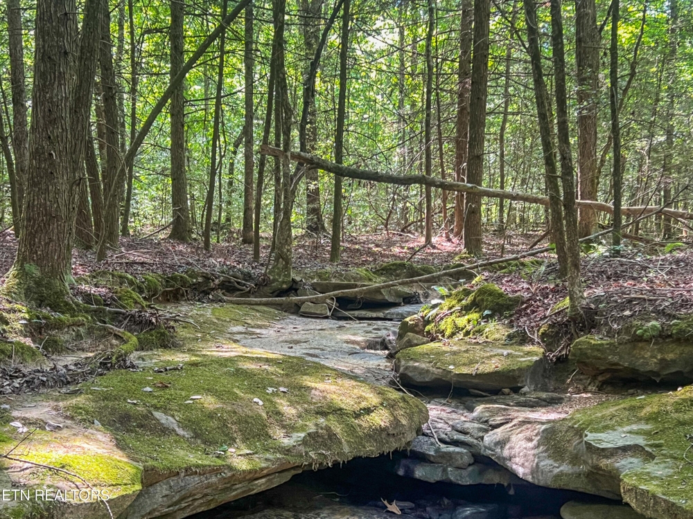 Willie Boyatt Rd, Oneida, TN 37841 $399,900 featured photo 1