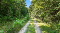Willie Boyatt Rd, Oneida, TN 37841 $399,900 featured photo 5