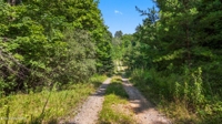 Willie Boyatt Rd, Oneida, TN 37841 $399,900 featured photo 6