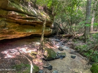 Willie Boyatt Rd, Oneida, TN 37841 $399,900 featured photo 2