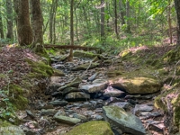 Willie Boyatt Rd, Oneida, TN 37841 $399,900 featured photo 3