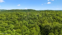 Willie Boyatt Rd, Oneida, TN 37841 $399,900 featured photo 11