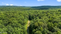 Willie Boyatt Rd, Oneida, TN 37841 $399,900 featured photo 8