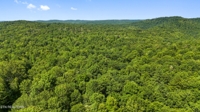 Willie Boyatt Rd, Oneida, TN 37841 $399,900 featured photo 12