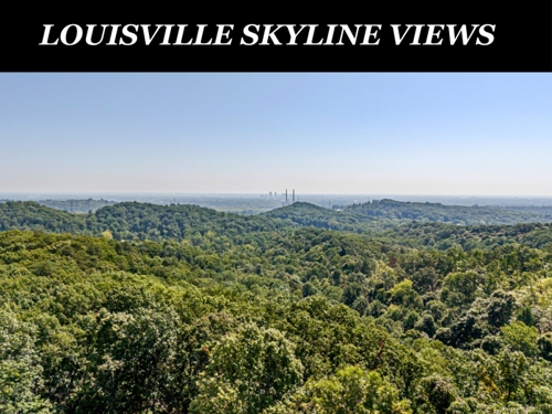 86+ AC Floyd County Land Online Only Auction featured photo