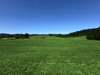 Absolute Estate Auction - 43 Acres in 12 Tracts featured photo