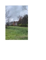A067 3032 Pickett Lane, Maysville featured photo 5