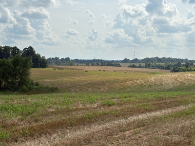 284.7 +/- Acres Divided, Randolph County NC featured photo 2