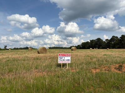 284.7 +/- Acres Divided, Randolph County NC featured photo 3