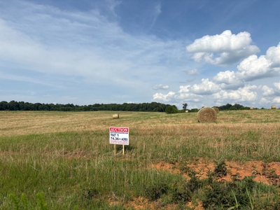 284.7 +/- Acres Divided, Randolph County NC featured photo 4