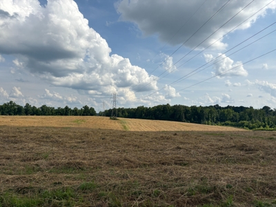 284.7 +/- Acres Divided, Randolph County NC featured photo 5