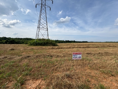 284.7 +/- Acres Divided, Randolph County NC featured photo 7