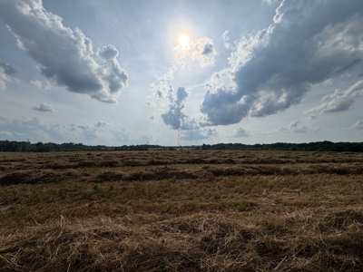 284.7 +/- Acres Divided, Randolph County NC featured photo 8