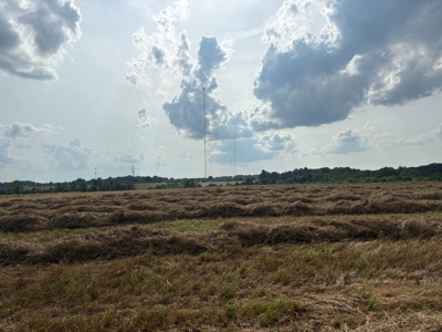 284.7 +/- Acres Divided, Randolph County NC featured photo 9