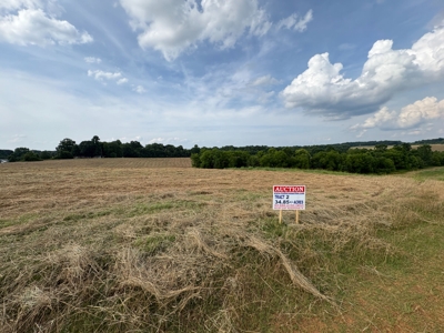 284.7 +/- Acres Divided, Randolph County NC featured photo 12
