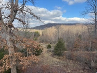 R317 215 Richmond Dr Flemingsburg, KY featured photo 1