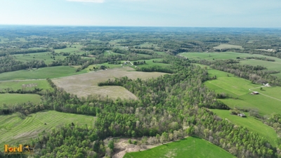 64.28 +/- Acres Farm in Nancy, Ky at Absolute Live/Online Multi-Parcel Auction featured photo 10