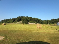 House, Buildings & 12.5 Acres in Tracts - Absolute Live/Online Auction featured photo 9