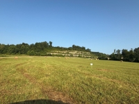 House, Buildings & 12.5 Acres in Tracts - Absolute Live/Online Auction featured photo 10