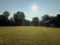 House, Buildings & 12.5 Acres in Tracts - Absolute Live/Online Auction featured photo 11