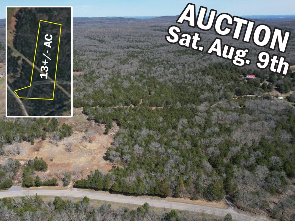 13 +/- Acres with 110+/- Feet of Road Frontage and Utilities Available - Adjacent to 111+/- Acres Offered Separately - Court Ordered Estate Auction August 9th featured photo 1