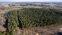 25± Acre Lakefront Estate on Weiss Lake, Cedar Bluff, AL Online Auction featured photo 5