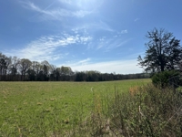50 +/- Acres Offered in 2 Tracts - Gorgeous Acreage Tracts with Incredible Views - Unlimited Possibilities in Spring Hill, TN - AUCTION May 13th featured photo 12