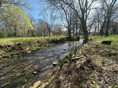 50 +/- Acres Offered in 2 Tracts - Gorgeous Acreage Tracts with Incredible Views - Unlimited Possibilities in Spring Hill, TN - AUCTION May 13th featured photo 5