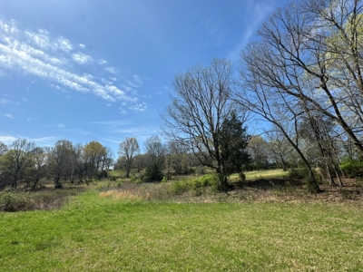 50 +/- Acres Offered in 2 Tracts - Gorgeous Acreage Tracts with Incredible Views - Unlimited Possibilities in Spring Hill, TN - AUCTION May 13th featured photo 10