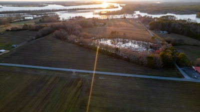 40± acres of Land Cedar Bluff, Cherokee County, AL Auction featured photo 7