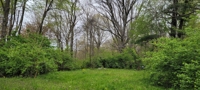 Daviess County Land Auction W/ Home and 3 Acres featured photo 6