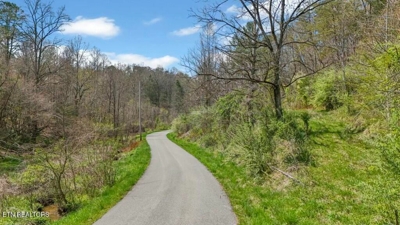 Roses Creek Rd, Clairfield, TN 37715 $5,000 featured photo 1