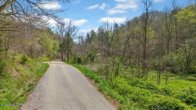 Roses Creek Rd, Clairfield, TN 37715 $5,000 featured photo 2