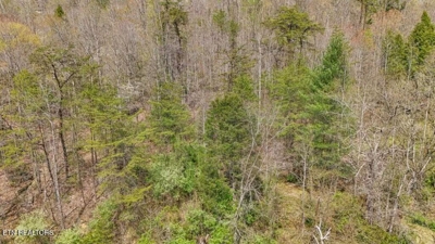 Roses Creek Rd, Clairfield, TN 37715 $5,000 featured photo 3