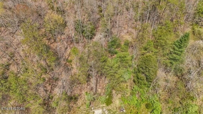Roses Creek Rd, Clairfield, TN 37715 $5,000 featured photo 4