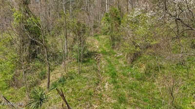 Roses Creek Rd, Clairfield, TN 37715 $5,000 featured photo 7