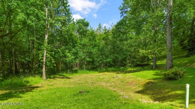Butcher Lane, Rocky Top, TN 37769 $84,900 featured photo 1