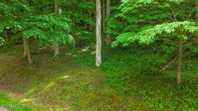 Butcher Lane, Rocky Top, TN 37769 $84,900 featured photo 4