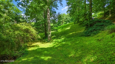 Butcher Lane, Rocky Top, TN 37769 $84,900 featured photo 5