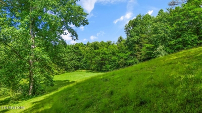 Butcher Lane, Rocky Top, TN 37769 $84,900 featured photo 6