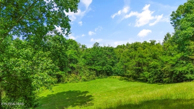 Butcher Lane, Rocky Top, TN 37769 $84,900 featured photo 7
