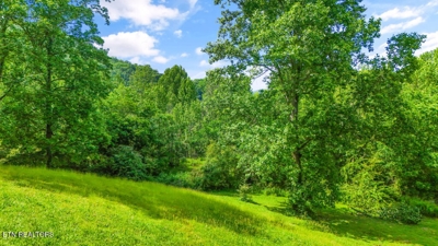 Butcher Lane, Rocky Top, TN 37769 $84,900 featured photo 8