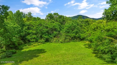 Butcher Lane, Rocky Top, TN 37769 $84,900 featured photo 9